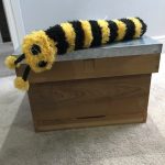 In a cottage garden, not so long ago…..